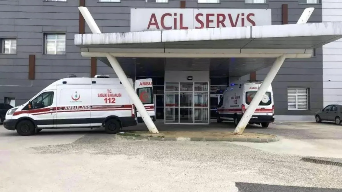 Arı Saldırısında Yaşlı Çift Hastanelik Oldu!
