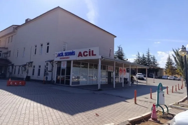 Arı Sokması 9 Yaşındaki Kızın Hayatını Aldı