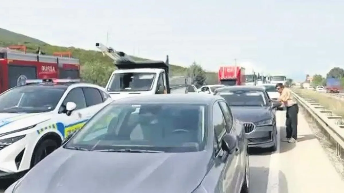 Arı Soktu, TIR Trafiği Kilitledi!