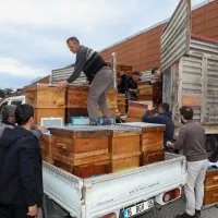 Arıcılık Bursa'da Büyükşehir'le canlandı Arıcılık Bursa'da Büyükşehir'le canlandı