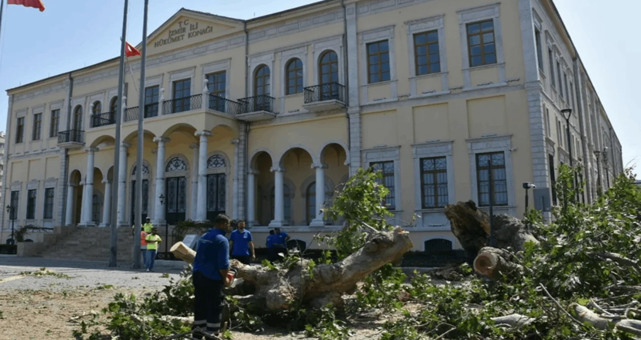 Asırlık Çınar, İzmir’de Devrildi!