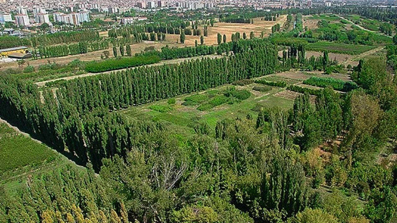 Atatürk Orman Çiftliği’nde Arazi Krizi!