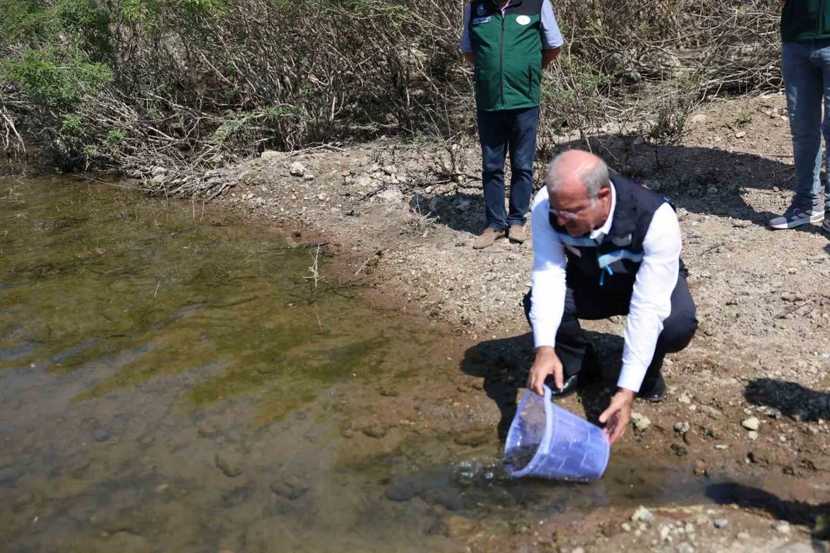 Atikhisar Barajı’na 348 Bin Sazan Yavrusu Bırakıldı