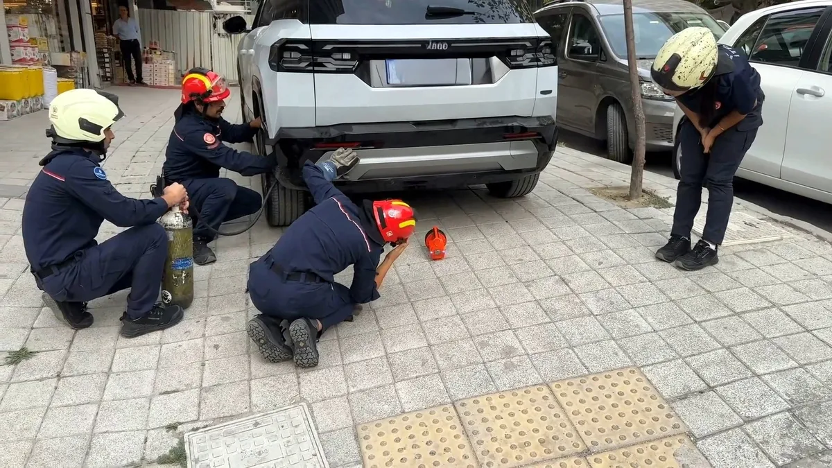 Avcılar’da cipin yedek lastiğinde sıkışan kedi kurtarıldı