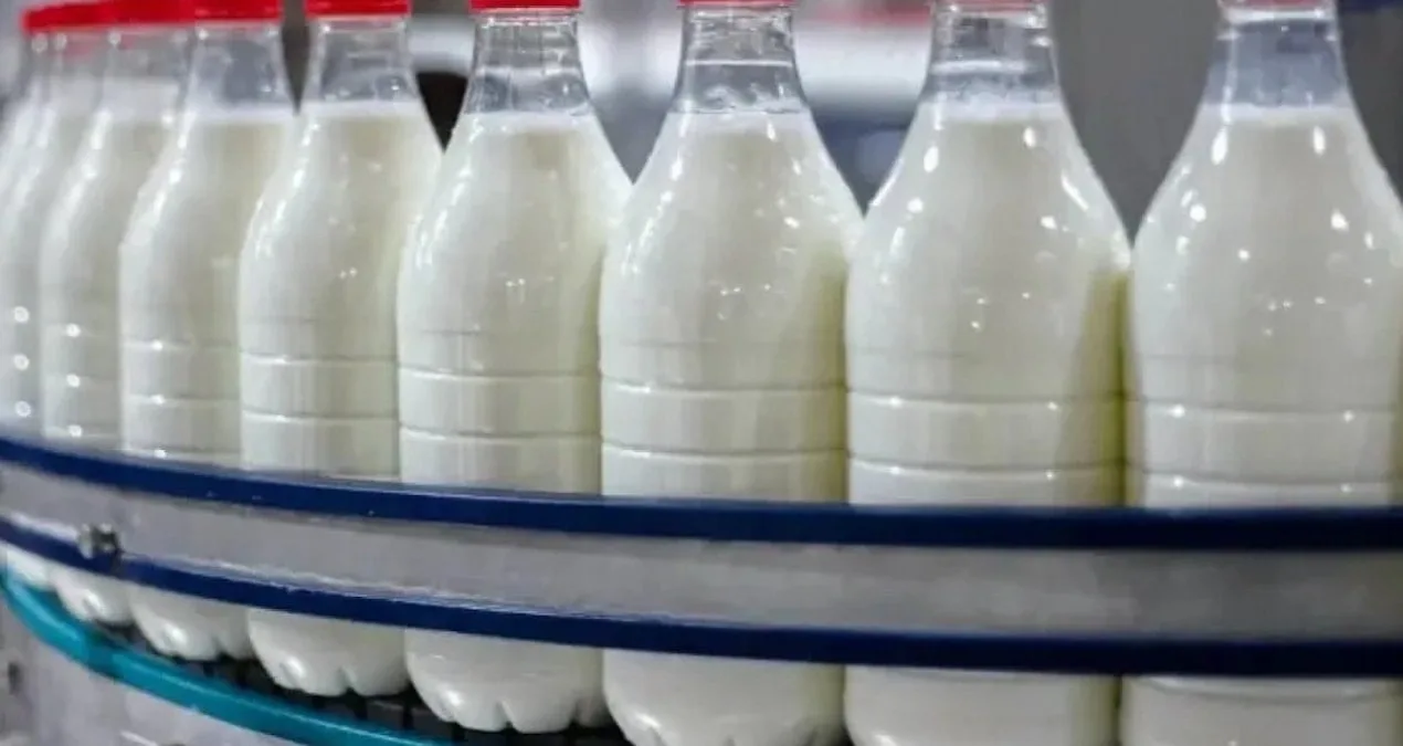 Ayca Süt Ürünleri’ne Rekabet Soruşturması Açıldı!