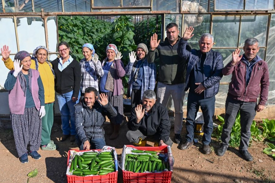 Aydıncık’ta Hıyar Hasadı Başladı! Tarımda Yenilikler