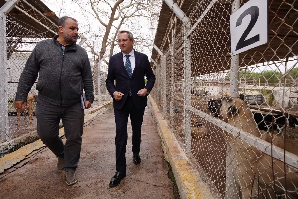 Ayvalık Belediyesi Hayvan Bakım Merkezi
