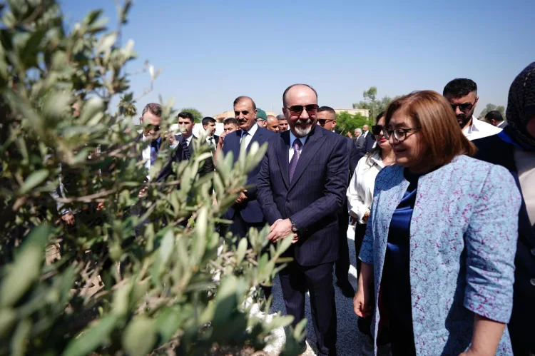 Bağdat’a 5 Bin Zeytin ve İncir Fidanı Hediye!