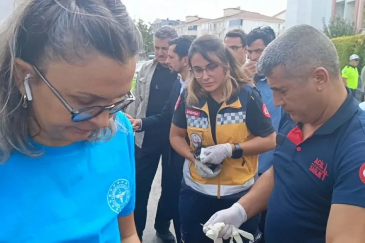 Bakan Tunç’un Konvoyunda Kedi Kurtarma Operasyonu
