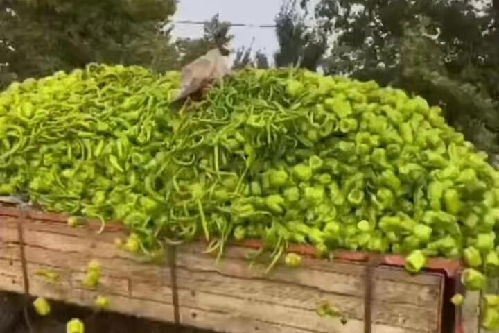 Bakanlıktan Biber Görüntülerine Yalanlama