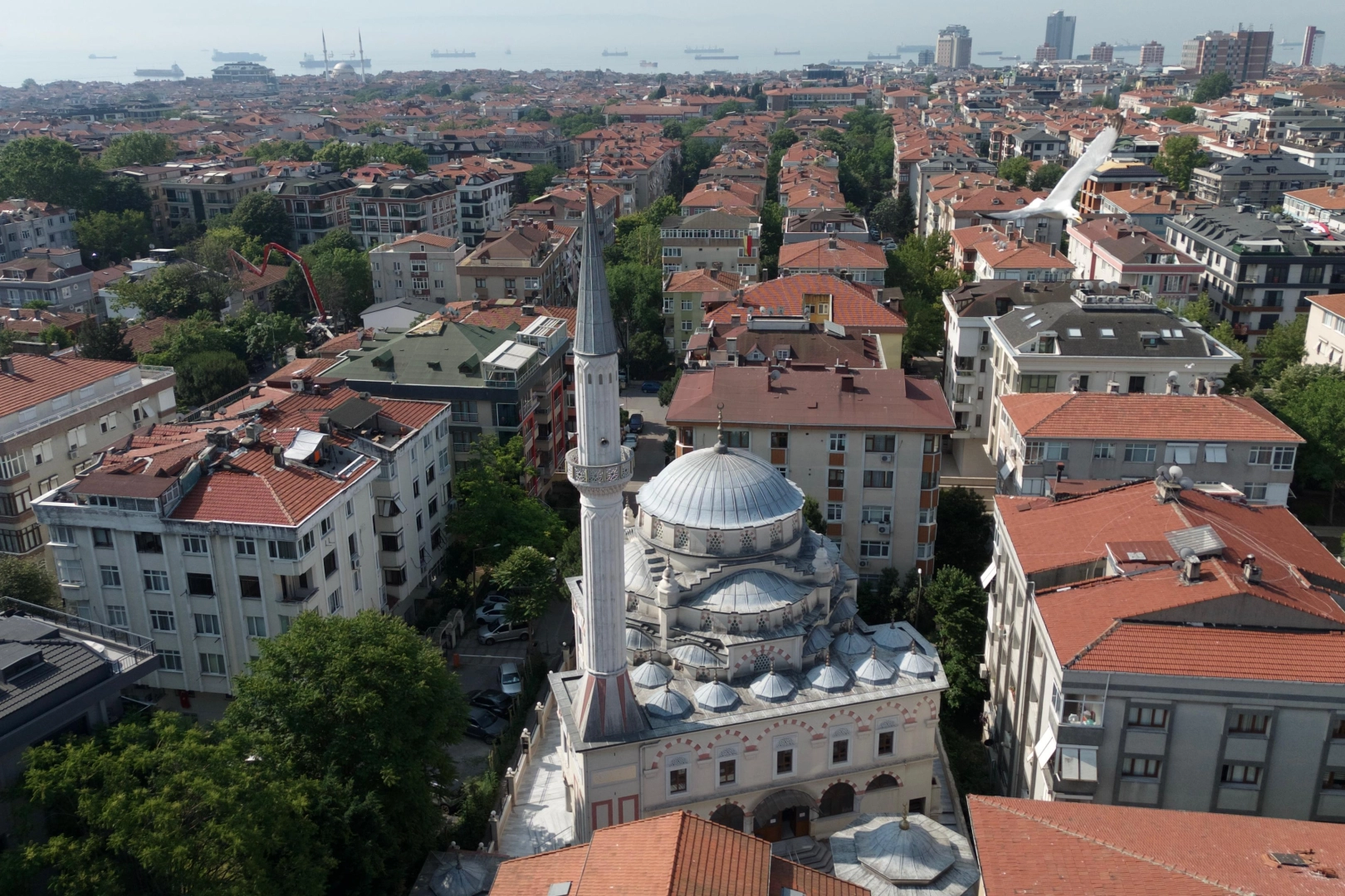 Bakırköy, Kurban Bayramı’na Hazır! Çiçekler Açtı