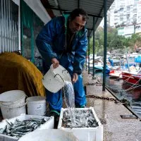 Balık sizden, mazot bizden Balık sizden, mazot bizden