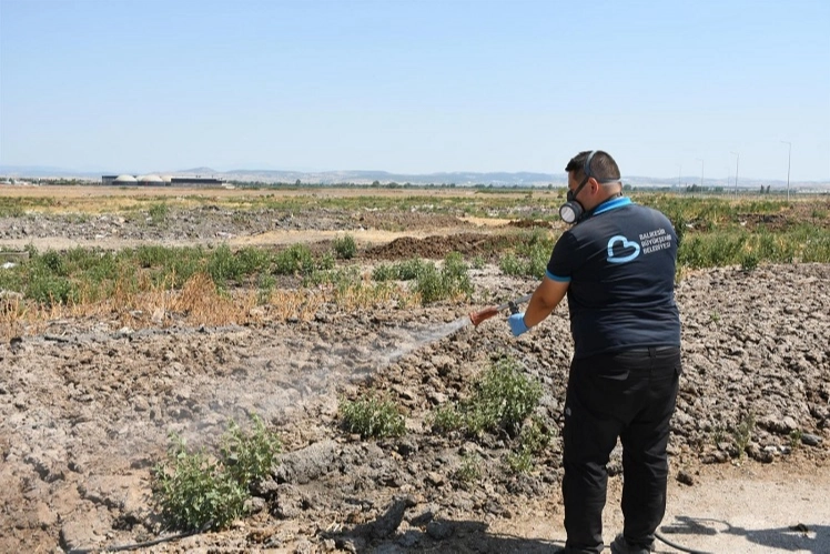 Balıkesir’de Haşereyle Mücadele 24 Saat Devam Ediyor