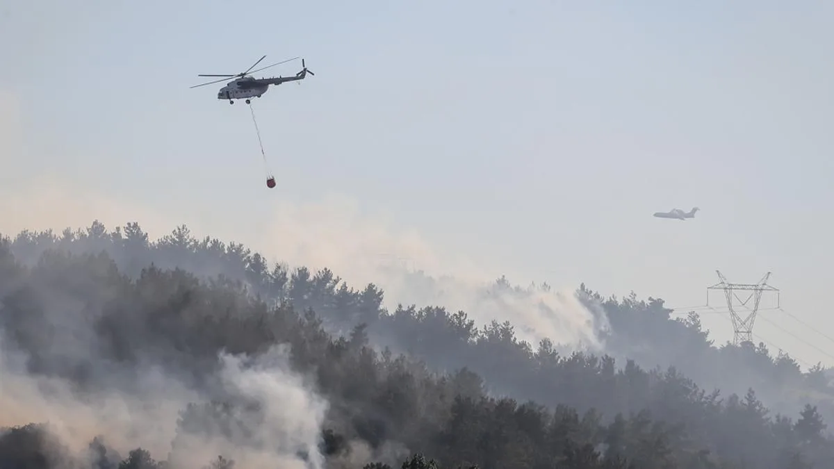 Balıkesir’de Orman Yangını: Ekipler Seferber Oldu