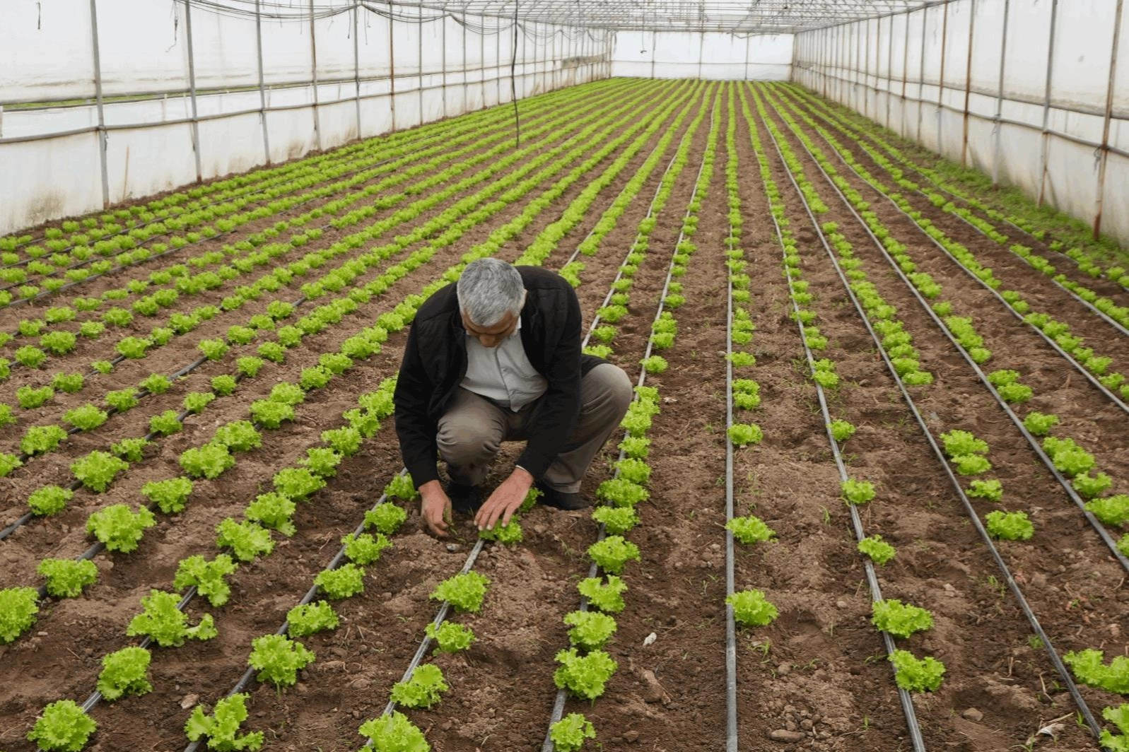 Balıkesir’den Üreticilere Güçlü Destek Paketi!