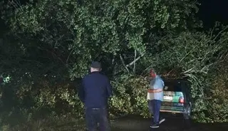 Bartın’da şiddetli fırtına: Ağaçlar otomobillerin üzerine devrildi