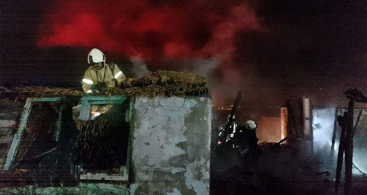 Barakada Çıkan Yangın, Roman Aileleri Zor Duruma Soktu