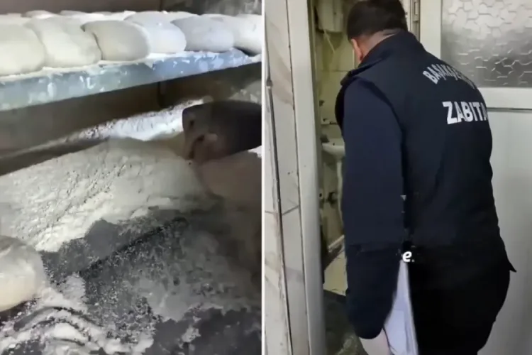 Başakşehir’de Fırında Sağlık Skandalı: Mühürlendi!
