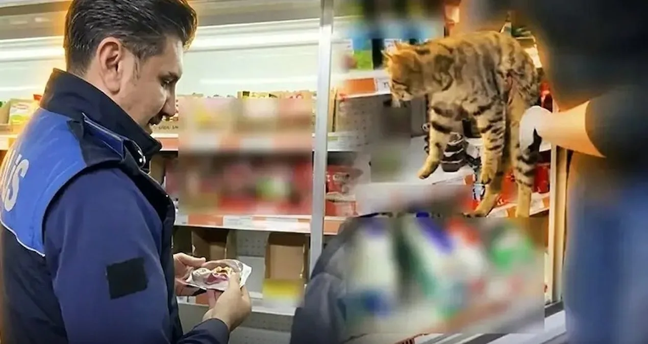Başakşehir’de Market Denetiminde Şok Gelişmeler!