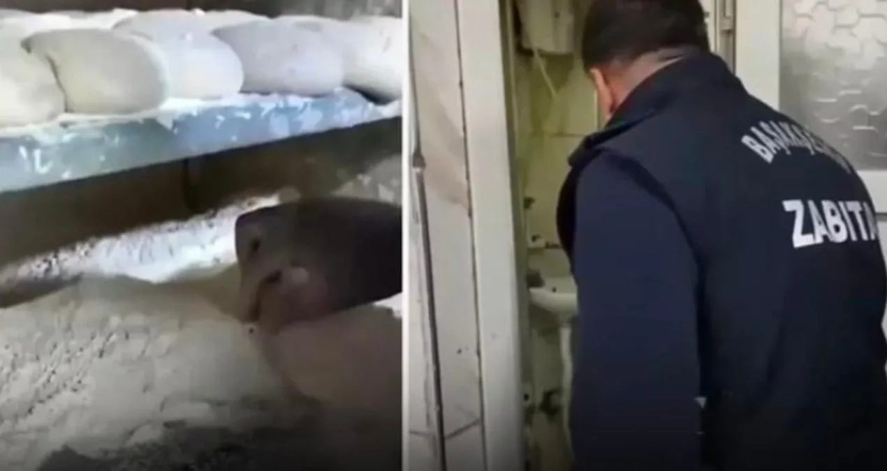 Başakşehir’deki Fırında Hijyen İhlali Şoku!
