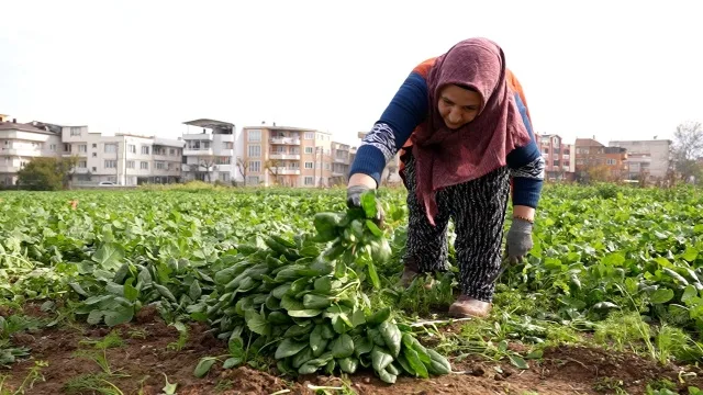 Başkan Aydın, Çağlayan Mahallesi’ni Ziyaret Etti