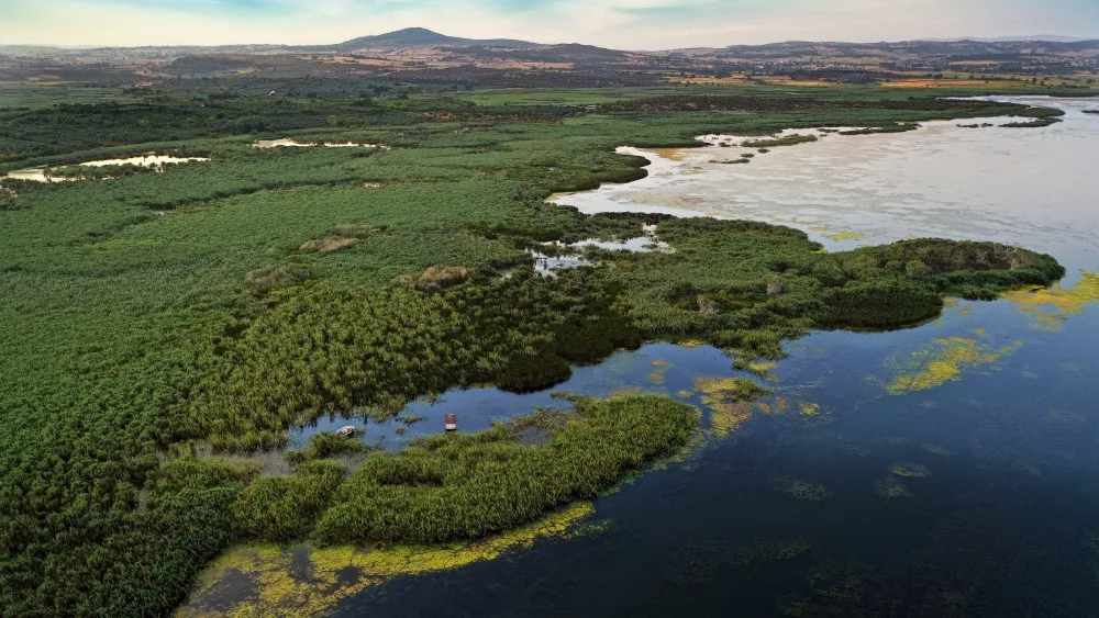 Deniz ile ormanın kucaklaştığı adres: Karacabey Longozu - Bursa'da Güzel Bir Yer