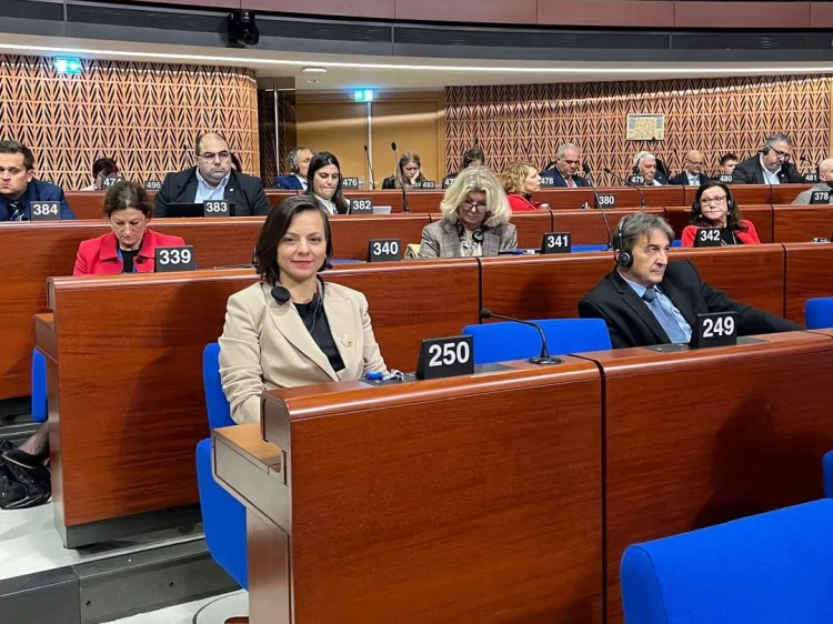 Başkan Kınay, Strazburg’da Demokrasiyi Savundu