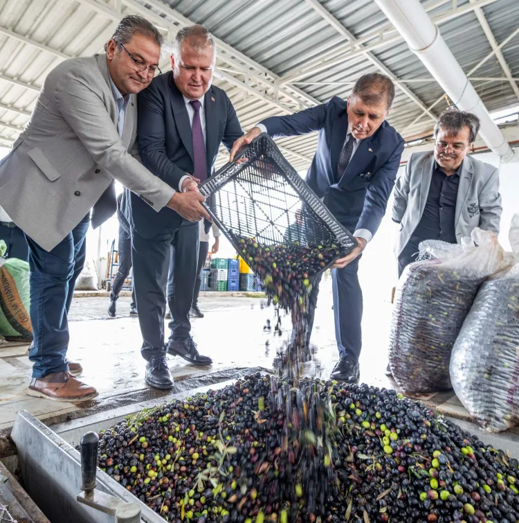 Başkan Tugay’dan Zeytinyağı Üretimine Destek