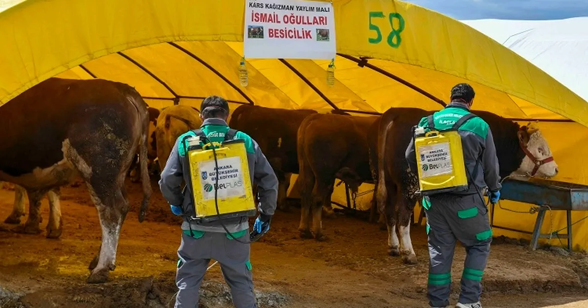 Başkent’te Kurban Alanlarına Sıkı Denetim