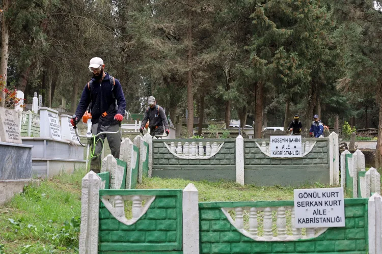Sakarya Mezarlık Bakım Çalışmaları