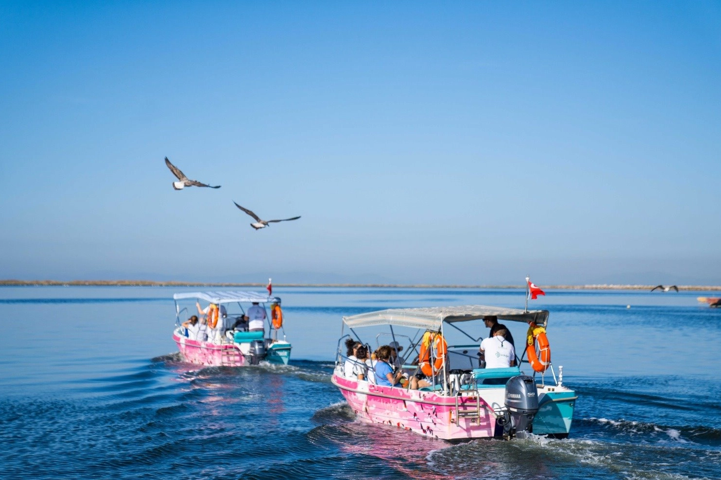 Bayramda Flamingo Yolu Turları İle Doğaya Dalış!