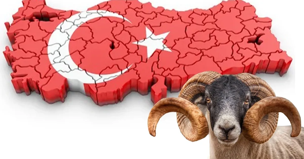 Bayramda Yoğun Gündeme Ara Verildi!