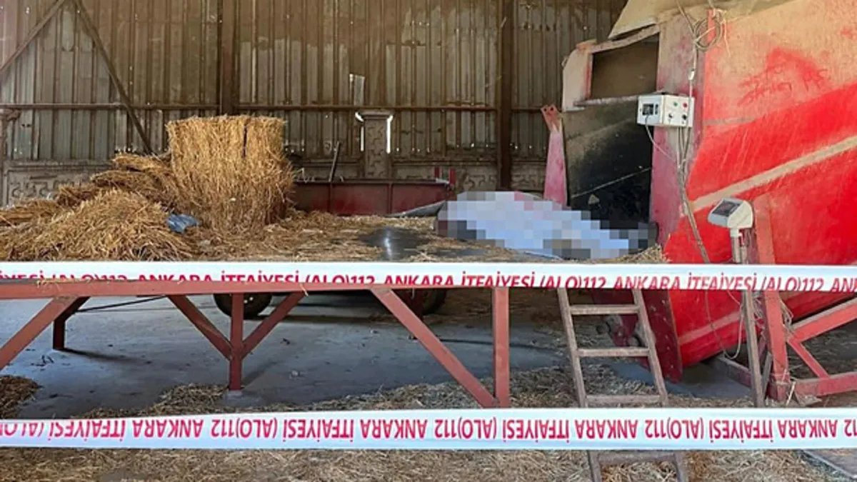 Besi çiftliğinde feci kaza: 1 ölü, 6 yaralı!