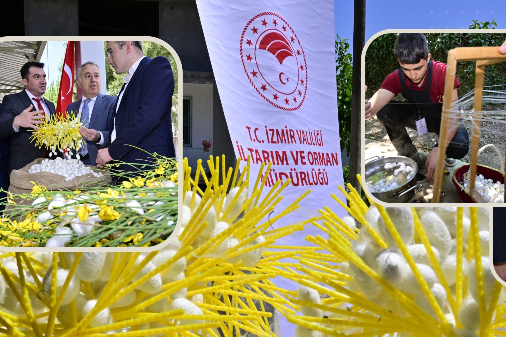 Beydağ’da Koza Hasat Festivali Şöleni Başladı!