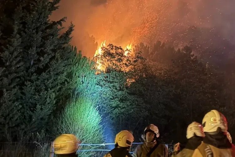 Beykoz’da Orman Yangını: Alevler Yükseliyor!
