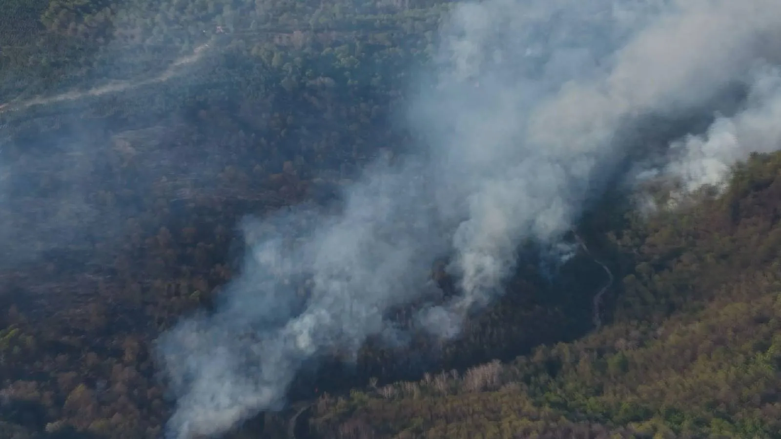 Beykoz’da Orman Yangını Tekrar Alevlendi