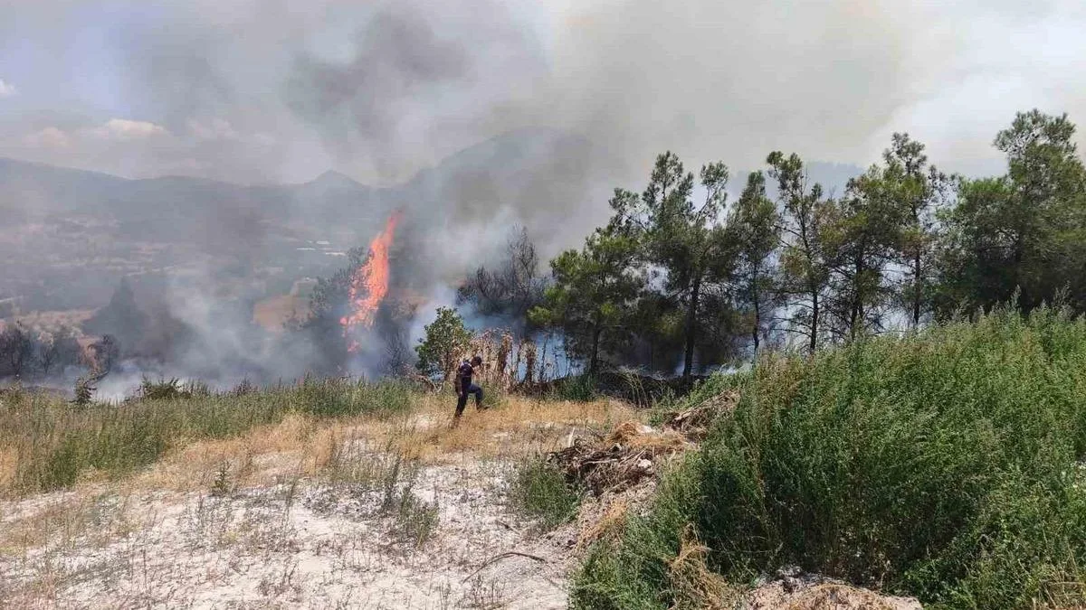 Bilecik’te Elektrik Direğinden Yangın Korkuttu!