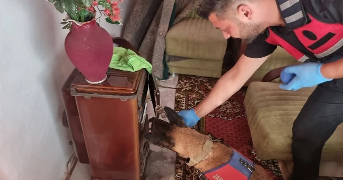 Bilecik’te Uyuşturucu Operasyonu: 3 Gözaltı!