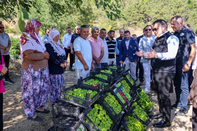 Bilecik Valisi Kamber Biberi Hasadında!