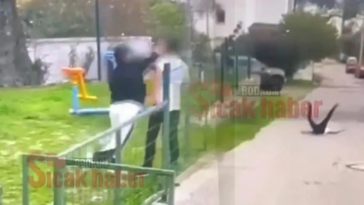 Bodrum’da Akran Zorbalığı: Otizmli Çocuğa Darp!