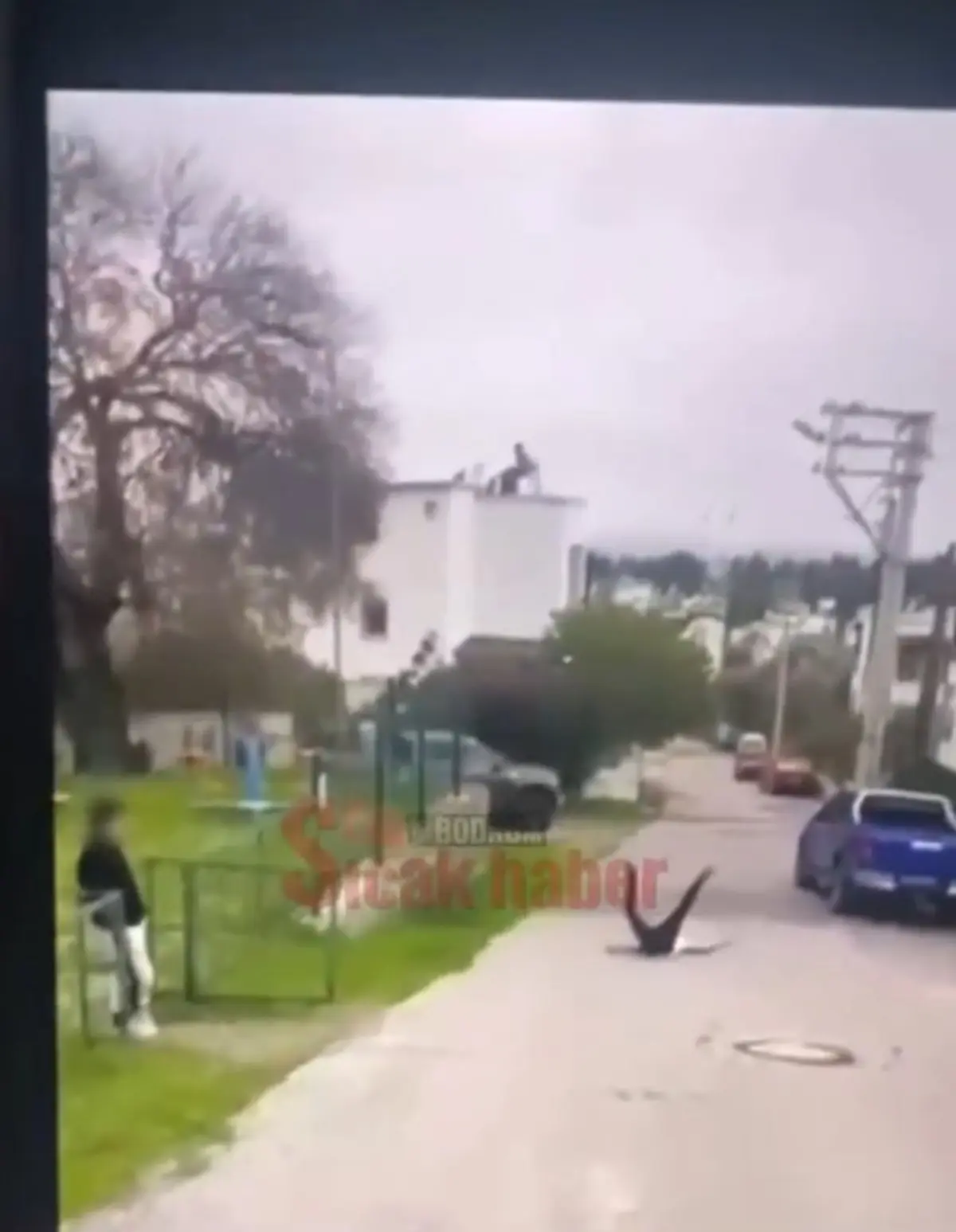 Yer: Bodrum... Otizmli akranını evire çevire dövdü: O anlar kamerada! 6