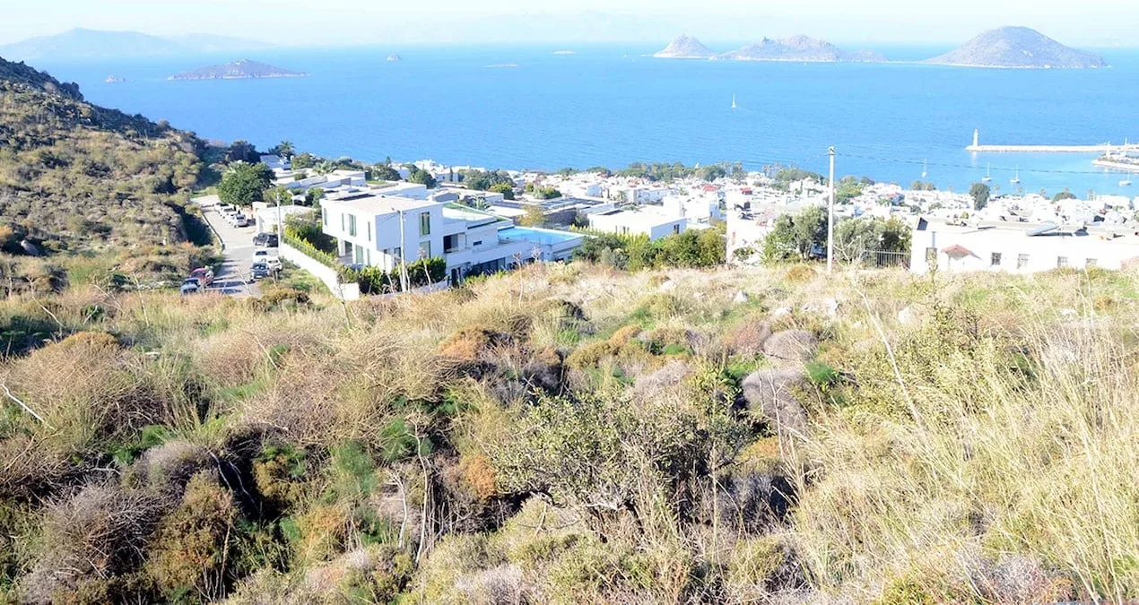 Bodrum’da İmar Değişikliği: Doğa Katliamı Tepkisi!