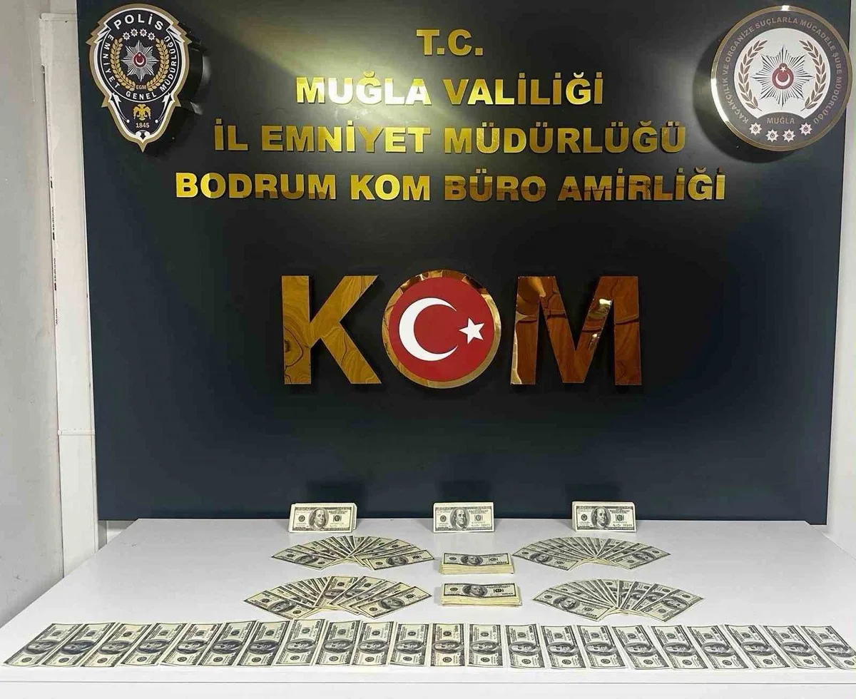 Bodrum’da sahte dolar bandına operasyon: 46 bin 200 dolar bulundu