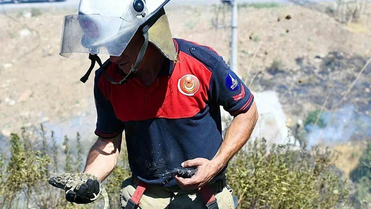 Bornova’da Orman Yangını: Bukalemun Kurtarıldı!