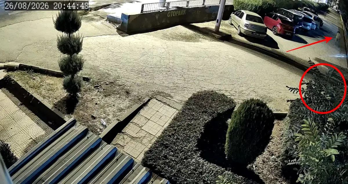 Kucağında çocuk varken katletti! Diyarbakır daki kahreden kadın cinayeti kamerada 2