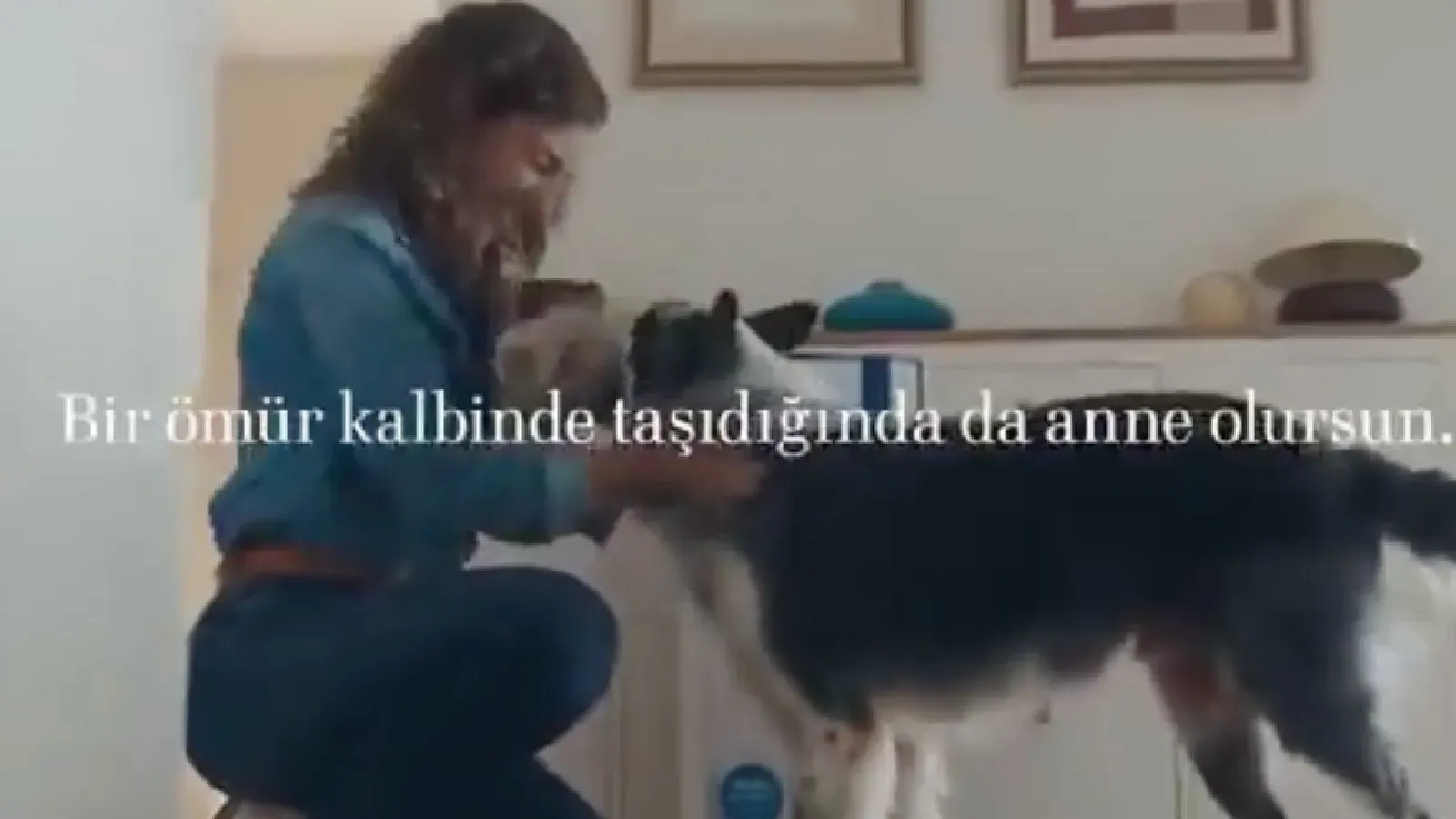 Bosch’un Reklamı: Annelik Tartışmaları Alevlendi