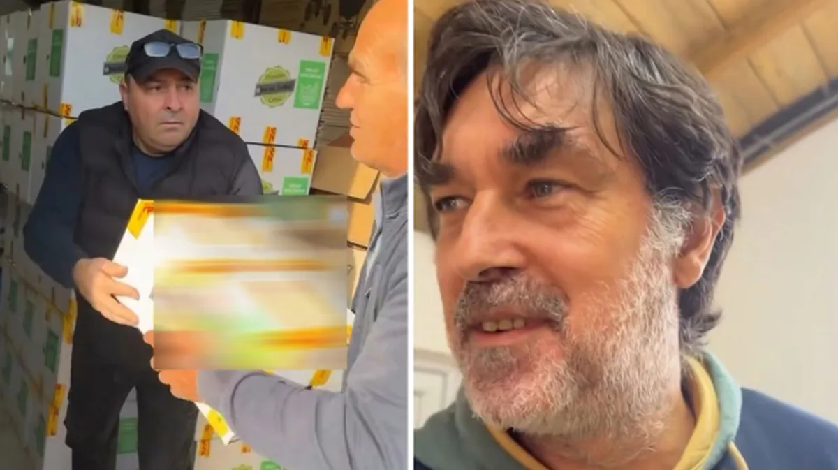Burak Hakkı Çiftçilikte Yeni Bir Sayfa Açtı, Ceviz Toplama İle Meşgul
