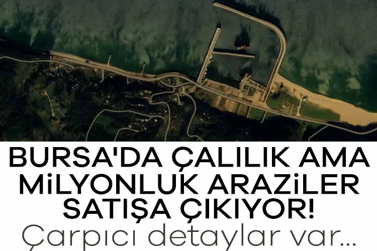 Bursa’da Çalılıkta Milyonluk Arazi Satışı!