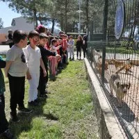 Bursa'da çocuklar patili dostlarla buluştu