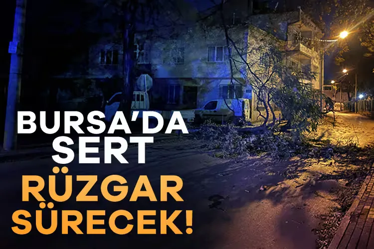 Bursa’da Fırtına: Çatılar Uçtu, Kamyonet Hareket Etti!